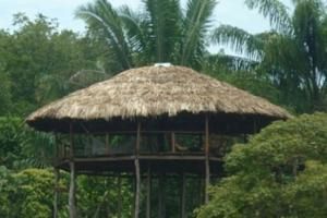 2 Star Hotels in Amazonas