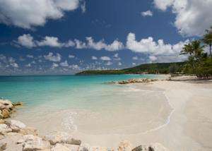 Antigua & Barbuda Tours, Travel & Activities