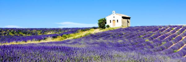 Provence-Alpes-Cote d'Azur (PACA), South of France