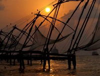 Kochi Cruises & Water Tours