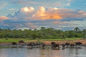 Kruger National Park Hotels & Accommodation