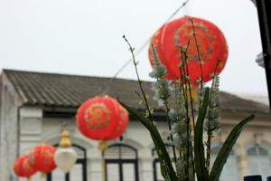 Phuket Town Hotels & Accommodation