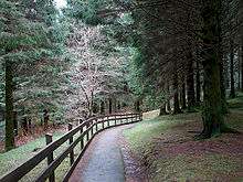 Severn Way, Powys