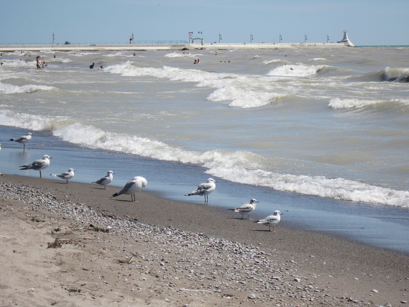 Main Beach, Port Stanley